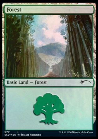 Forest (Walls) (577) [Secret Lair Drop Promos] - The Mythic Store | 24h Order Processing