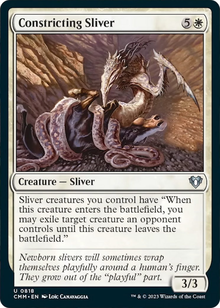 Constricting Sliver [Commander Masters] - The Mythic Store | 24h Order Processing