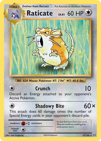 Raticate (67/108) [XY: Evolutions] - The Mythic Store | 24h Order Processing