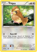 Pidgey (75/106) [XY: Flashfire] - The Mythic Store | 24h Order Processing