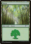 Forest (Elves) (579) [Secret Lair Drop Promos] - The Mythic Store | 24h Order Processing
