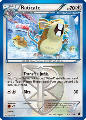 Raticate (88/116) [Black & White: Plasma Freeze] - The Mythic Store | 24h Order Processing