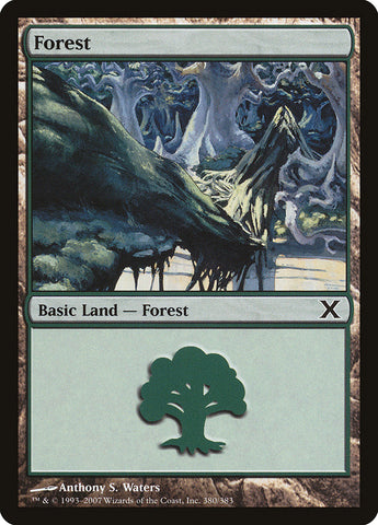 Forest (380) [Tenth Edition] - The Mythic Store | 24h Order Processing