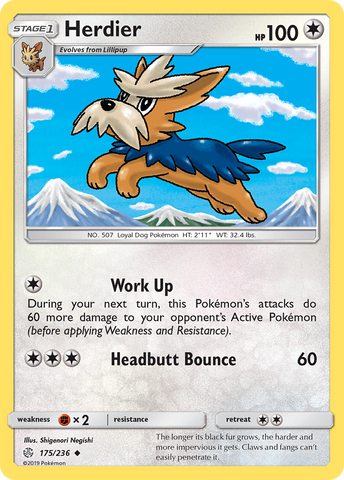 Herdier (175/236) [Sun & Moon: Cosmic Eclipse] - The Mythic Store | 24h Order Processing