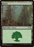 Forest (28) (Elves vs. Goblins) [Duel Decks Anthology] - The Mythic Store | 24h Order Processing