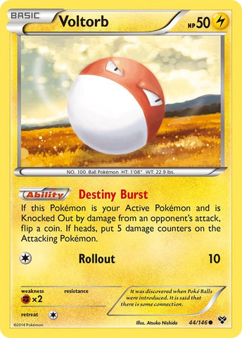 Voltorb (44/146) [XY: Base Set] - The Mythic Store | 24h Order Processing