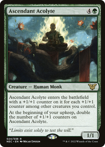Ascendant Acolyte [Kamigawa: Neon Dynasty Commander] - The Mythic Store | 24h Order Processing