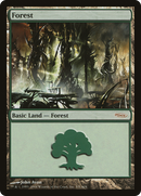 Forest (5) [Arena League 2004] - The Mythic Store | 24h Order Processing
