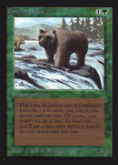 Grizzly Bears [Collectors' Edition] - The Mythic Store | 24h Order Processing