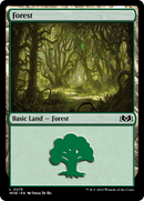 Forest (0275) [Wilds of Eldraine] - The Mythic Store | 24h Order Processing