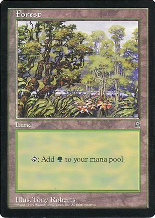 Forest (Oversized) [Oversize Cards] - The Mythic Store | 24h Order Processing