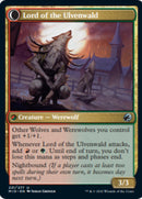 Kessig Naturalist // Lord of the Ulvenwald [Innistrad: Midnight Hunt] - The Mythic Store | 24h Order Processing