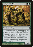 Savage Thallid [Time Spiral] - The Mythic Store | 24h Order Processing