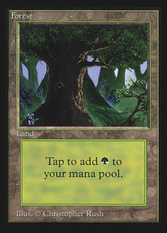 Forest (Eyes in Tree) [Collectors' Edition] - The Mythic Store | 24h Order Processing