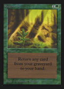 Regrowth [Collectors' Edition] - The Mythic Store | 24h Order Processing