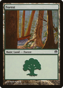 Forest (71) [Duel Decks: Phyrexia vs. the Coalition] - The Mythic Store | 24h Order Processing