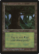 Forest (302) [Beta Edition] - The Mythic Store | 24h Order Processing
