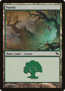 Forest (300) [Shadowmoor] - The Mythic Store | 24h Order Processing