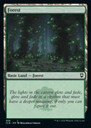 Forest (468) [Commander Legends: Battle for Baldur's Gate] - The Mythic Store | 24h Order Processing