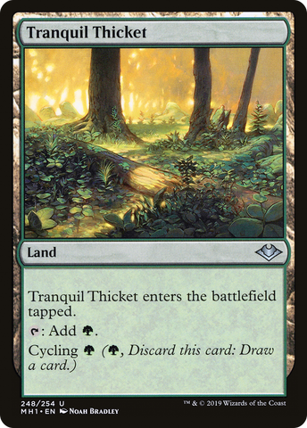 Tranquil Thicket [Modern Horizons] - The Mythic Store | 24h Order Processing