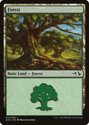 Forest (31) (Elves vs. Goblins) [Duel Decks Anthology] - The Mythic Store | 24h Order Processing
