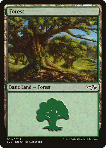 Forest (31) (Elves vs. Goblins) [Duel Decks Anthology] - The Mythic Store | 24h Order Processing