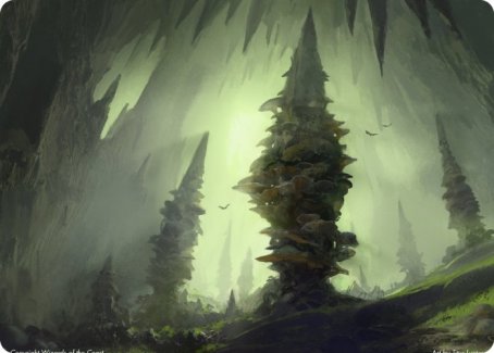 Forest (280) Art Card [Dungeons & Dragons: Adventures in the Forgotten Realms Art Series] - The Mythic Store | 24h Order Processing