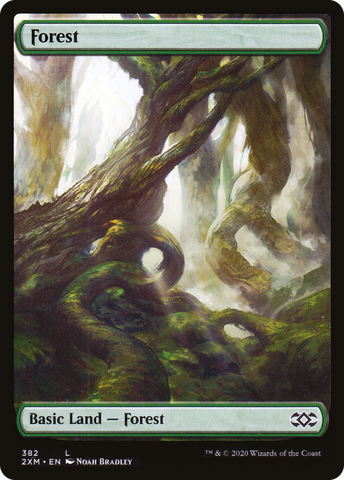 Forest (382) [Double Masters] - The Mythic Store | 24h Order Processing