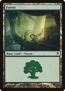 Forest (246a) [Zendikar] - The Mythic Store | 24h Order Processing