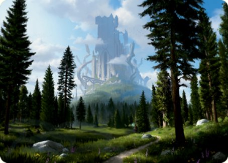 Forest (278) Art Card [Dungeons & Dragons: Adventures in the Forgotten Realms Art Series] - The Mythic Store | 24h Order Processing