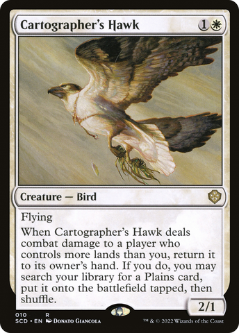 Cartographer's Hawk [Starter Commander Decks] - The Mythic Store | 24h Order Processing