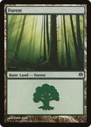 Forest (70) [Duel Decks: Phyrexia vs. the Coalition] - The Mythic Store | 24h Order Processing