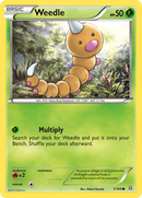 Weedle (1/160) [XY: Primal Clash] - The Mythic Store | 24h Order Processing