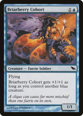 Briarberry Cohort [Shadowmoor] - The Mythic Store | 24h Order Processing