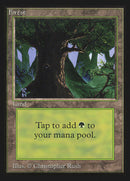 Forest (Eyes in Tree) [International Collectors' Edition] - The Mythic Store | 24h Order Processing