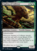 Sapling of Colfenor [Commander 2021] - The Mythic Store | 24h Order Processing