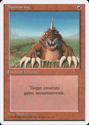 Burrowing [Fourth Edition] - The Mythic Store | 24h Order Processing