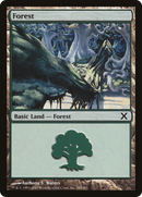 Forest (380) [Tenth Edition] - The Mythic Store | 24h Order Processing