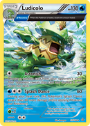 Ludicolo (37/160) [XY: Primal Clash] - The Mythic Store | 24h Order Processing