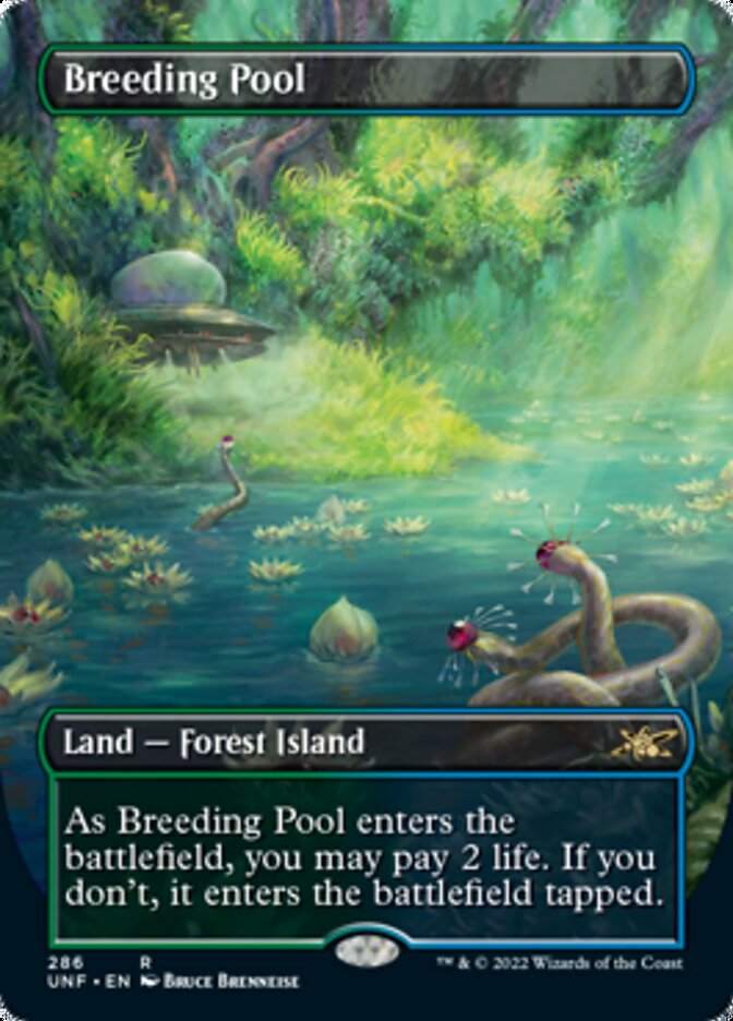 Breeding Pool (Borderless) [Unfinity] - The Mythic Store | 24h Order Processing