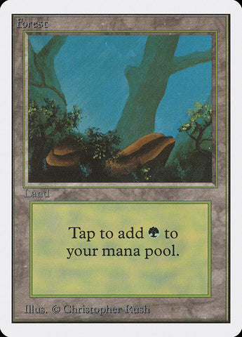 Forest (300) [Unlimited Edition] - The Mythic Store | 24h Order Processing