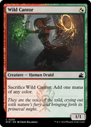 Wild Cantor [Ravnica Remastered] - The Mythic Store | 24h Order Processing