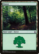 Forest (312) [Commander Anthology] - The Mythic Store | 24h Order Processing