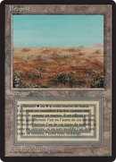 Scrubland [Foreign Black Border] - The Mythic Store | 24h Order Processing