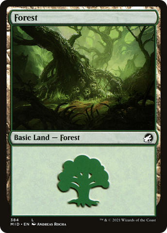 Forest (384) [Innistrad: Midnight Hunt] - The Mythic Store | 24h Order Processing