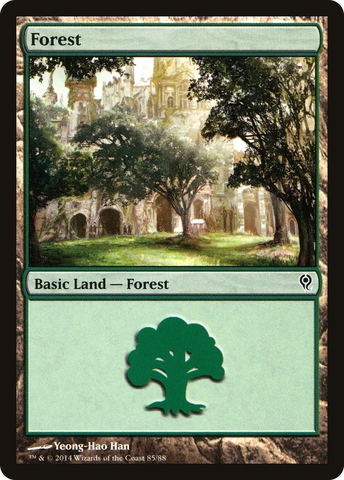 Forest (85) [Duel Decks: Jace vs. Vraska] - The Mythic Store | 24h Order Processing