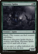 Netcaster Spider [Duel Decks: Elspeth vs. Kiora] - The Mythic Store | 24h Order Processing