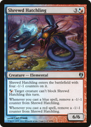 Shrewd Hatchling [Duel Decks: Izzet vs. Golgari] - The Mythic Store | 24h Order Processing