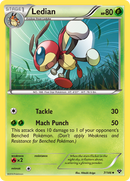 Ledian (7/146) [XY: Base Set] - The Mythic Store | 24h Order Processing
