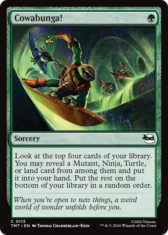Cowabunga! [Teenage Mutant Ninja Turtles] - The Mythic Store | 24h Order Processing